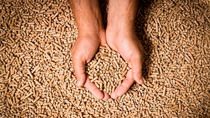 Pellets pour chaudières à pellets